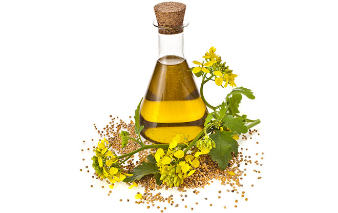 Canola Oil