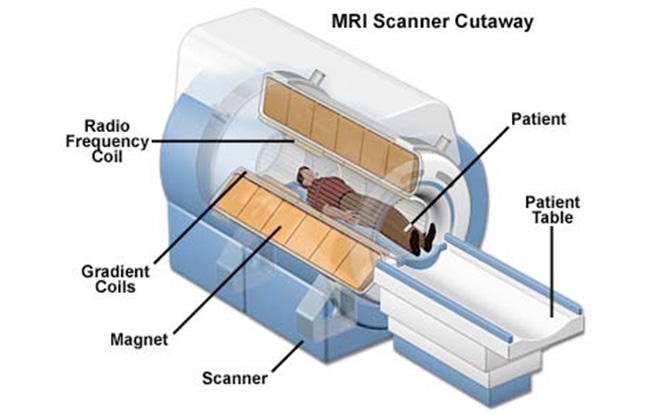 Inside a MRI machine